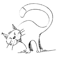 Cat sketch style drawing