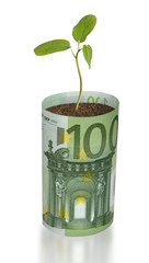 Fototapeta na wymiar Drzewko rosnące w euro rachunku