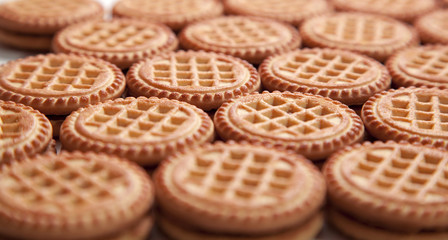 cookies on a white background