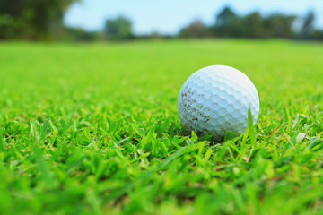 golf ball in fairway