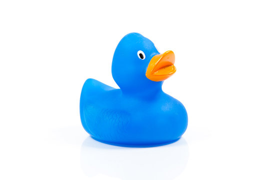Plastic blue duck toy.