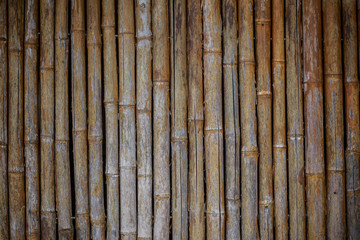 Bamboo Wall Texture