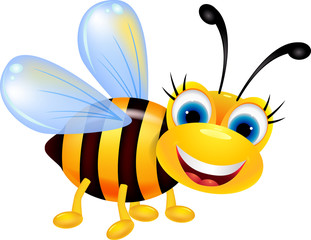 funny bee cartoon