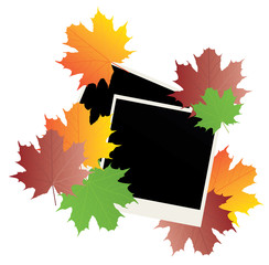 vector blank photos with fall leaves