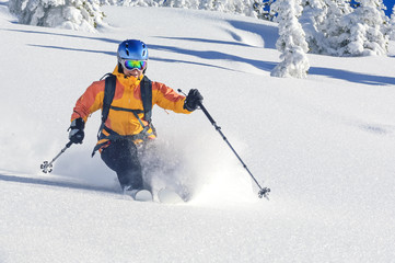 Skifahrerin