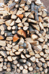 Firewood 1