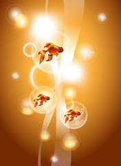 gold fish and air bubbles