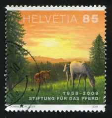 Horses and sun
