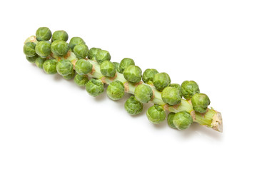 Brussel sprouts on the stem or stalk on a white background.