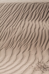 Sand dunes at sunset in the Sahara  in Morocco