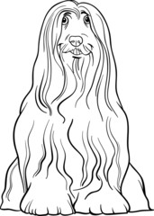 bearded collie dog cartoon for coloring