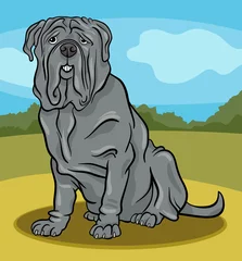  Napolitaanse mastiff hond cartoon afbeelding © Igor Zakowski