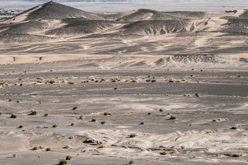 Sand dunes at sunset in the Sahara  in Morocco