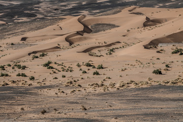 Sand dunes at sunset in the Sahara  in Morocco