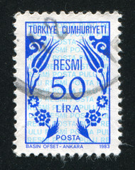 Turkish pattern