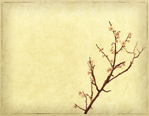 art grunge vintage texture background