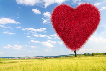 Obraz na płótnie Canvas Red grass heart