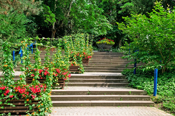 staircase in the cozy park