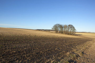 farmland in january