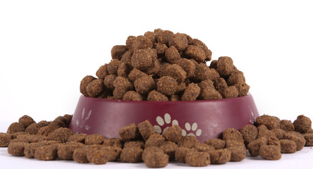 Dry dog food