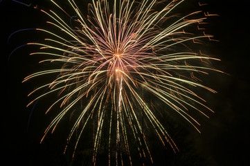 Sylvester Feuerwerk