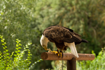 La hora del almuerzo