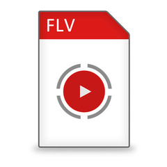Dateityp Icon FLV
