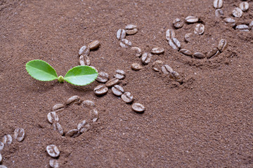 Coffee bean on coffee flour background
