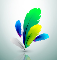 Vector colorful feather design