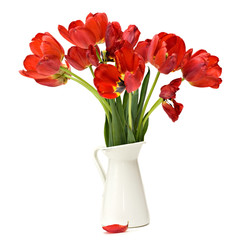Tulips bouquet