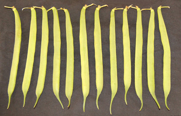 A Display of a Row of Runner Beans.