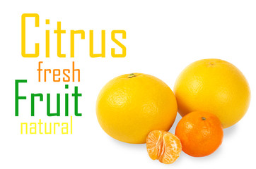 Citrus fruit