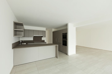 modern architecture, new empty apartment , kitchen