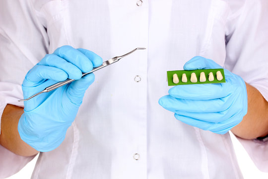 Dentists hands with denture and dental scraper