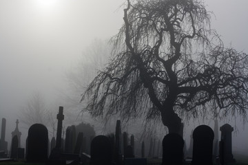 Spooky old cemetery on a foggy day - 48369232