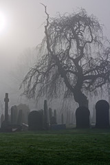 Spooky old cemetery on a foggy day - 48369238