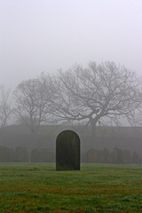 Single gravestone in a spooky graveyard on a foggy day - 48369286