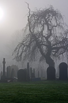 Spooky old cemetery on a foggy day