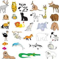 Set od animals