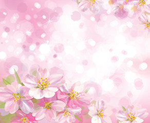 Fototapeta na wymiar Wektor drzewa kwitnących wiosną z różowym tle