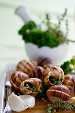 Escargots de Bourgogne (snails with herbs butter)