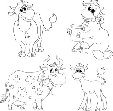 set of contour cows