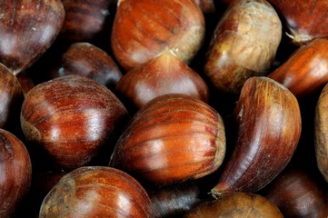 Chestnuts in shells © Arena Photo UK