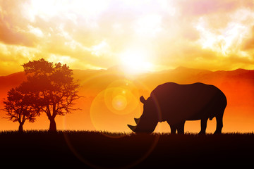 Fototapeta na wymiar Ilustracja sylwetka rhino