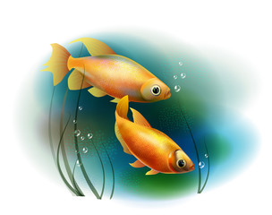 couple of goldfish in the sea