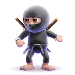 Ninja ready © Steve Young
