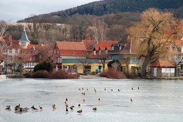 Teich in Ilsenburg