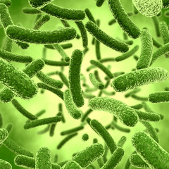 Bakterien - 3D Illustration