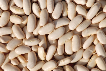 ALUBIAS, FONDO MACRO. APILADAS