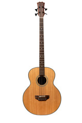 Obraz premium acoustic bass guitar